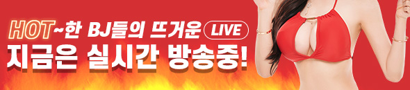 예스파일 배너